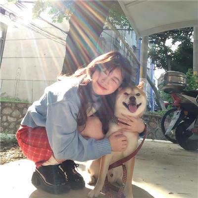 摩斯探长第十二季